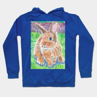 bunny rabbit Hoodie